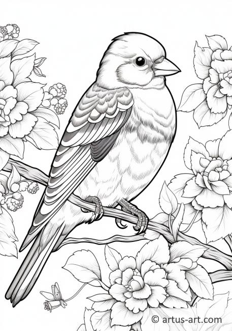 Goldfinch Coloring Page